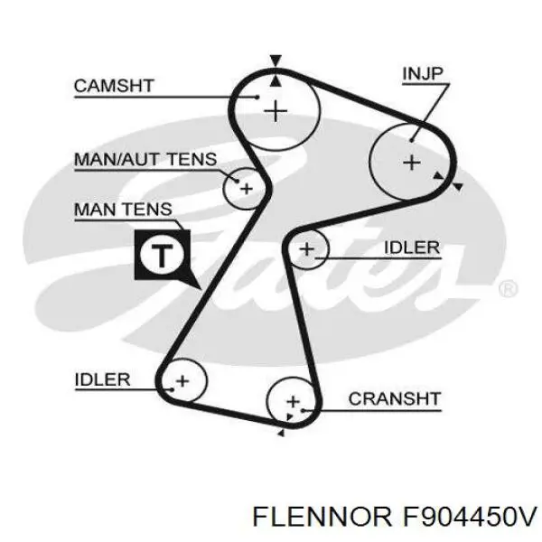 F904450V Flennor kit correa de distribución