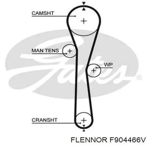 F904466V Flennor kit correa de distribución