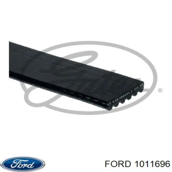 1011696 Ford correa trapezoidal