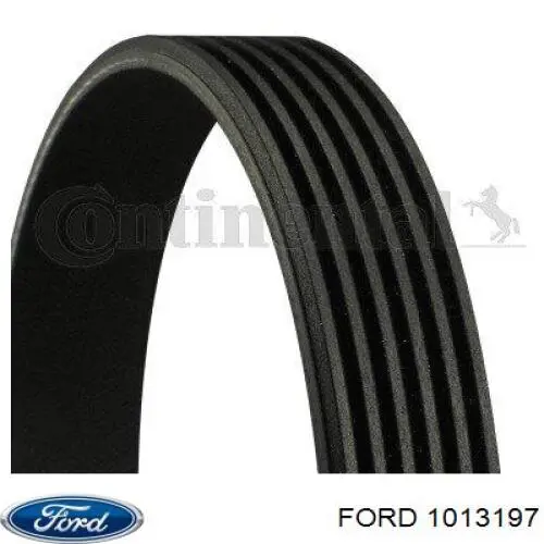 1013197 Ford correa trapezoidal