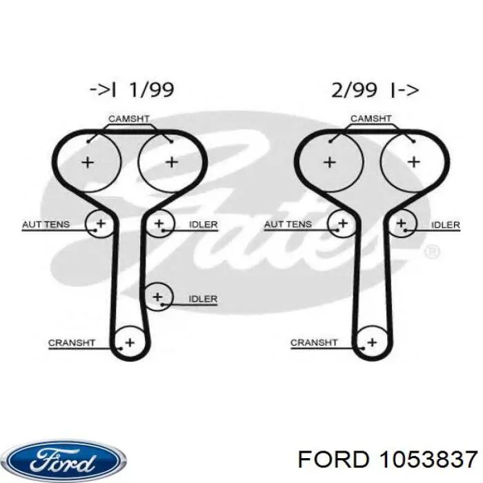 1053837 Ford correa distribucion