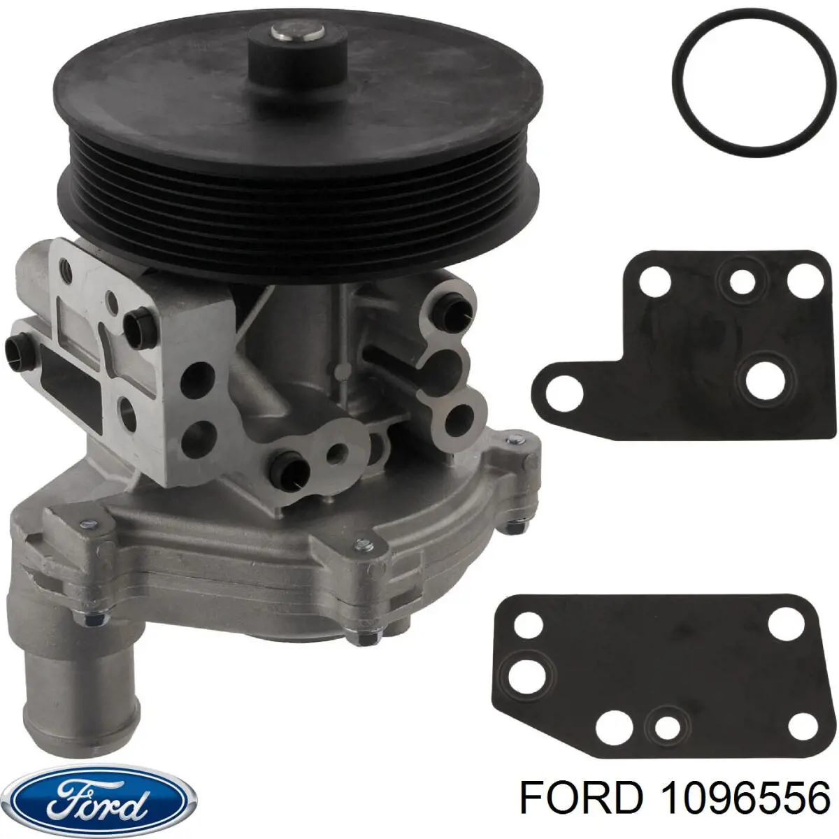 1096556 Ford bomba de agua