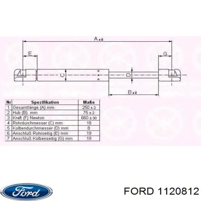 1120812 Ford muelle neumático, capó de motor