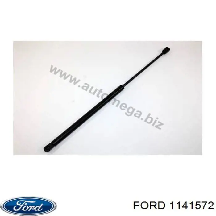 1141572 Ford 