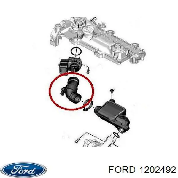 1202492 Ford tubo de aire