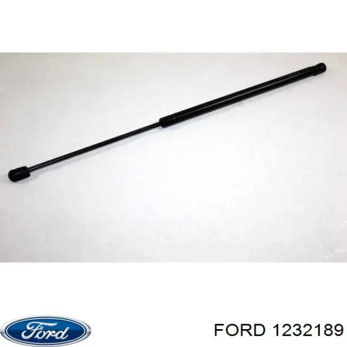 1232189 Ford amortiguador de maletero