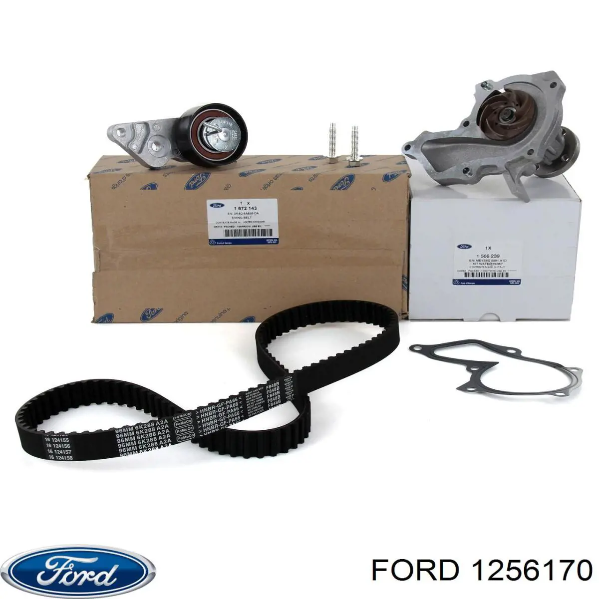 1256170 Ford bomba de agua