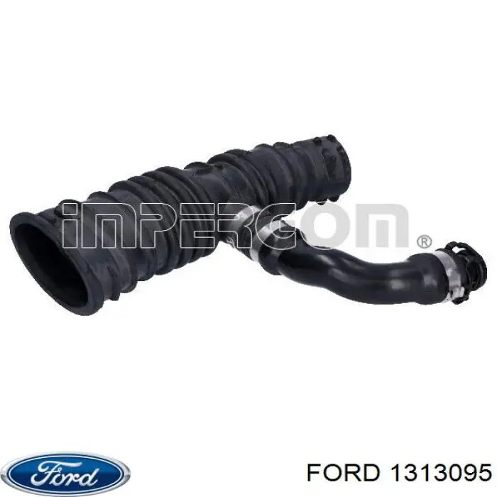 1313095 Ford 