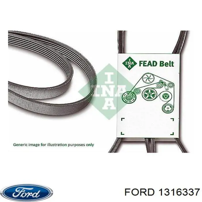 1316337 Ford correa trapezoidal