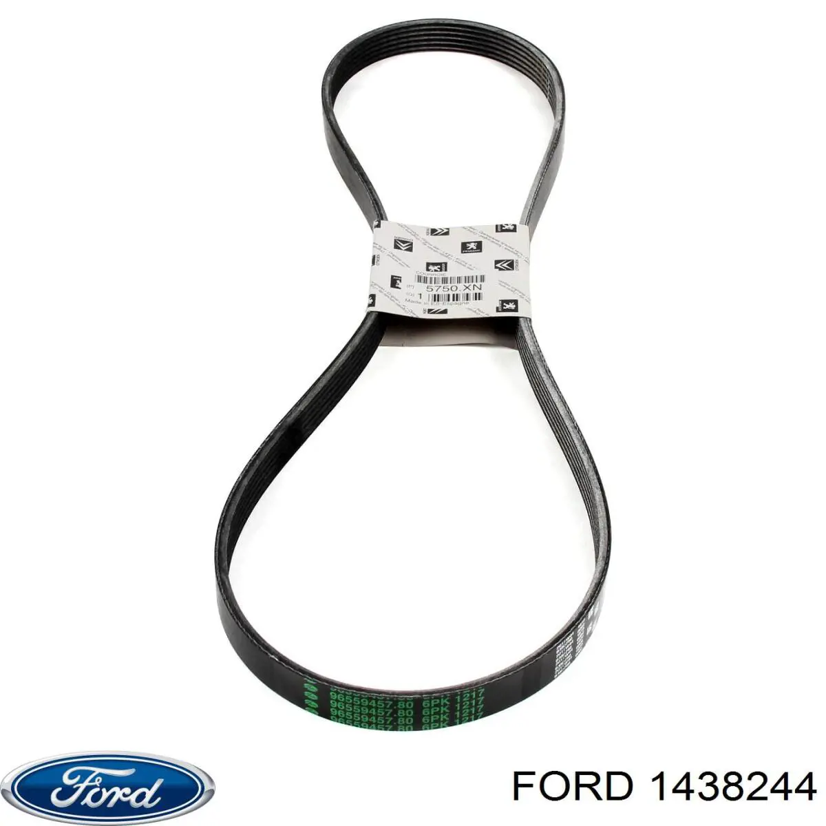 1438244 Ford correa trapezoidal