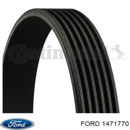 1471770 Ford correa trapezoidal