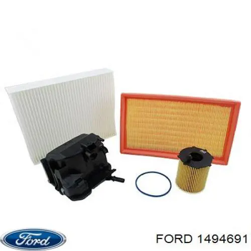 1494691 Ford filtro de habitáculo