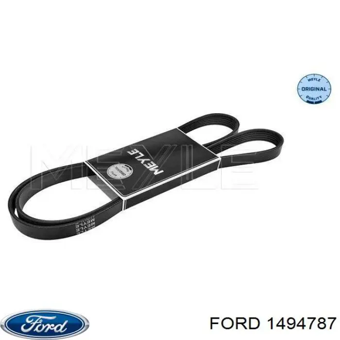 1494787 Ford correa trapezoidal