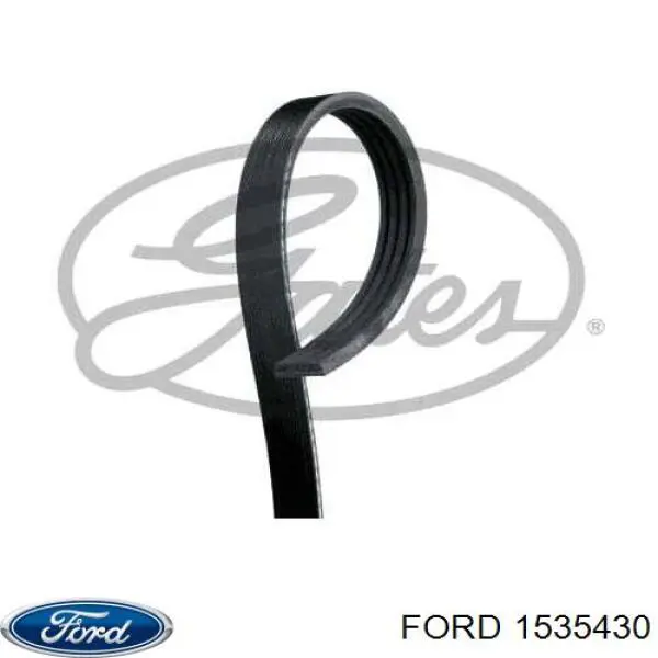 1535430 Ford correa trapezoidal