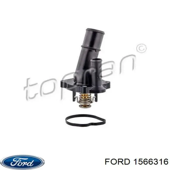 1566316 Ford termostato, refrigerante