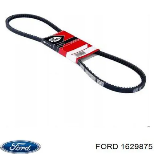 1629875 Ford correa trapezoidal