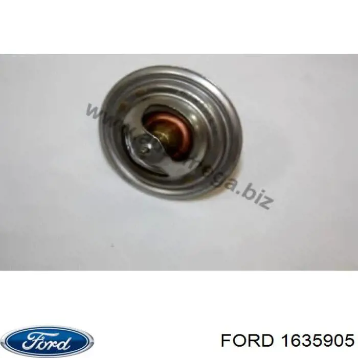 1635905 Ford termostato, refrigerante