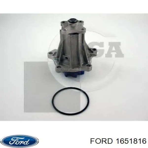 1651816 Ford bomba de agua