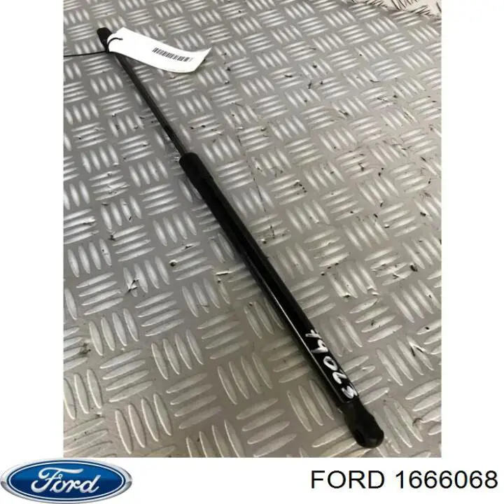 1666068 Ford amortiguador de maletero