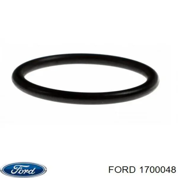 1700048 Ford 