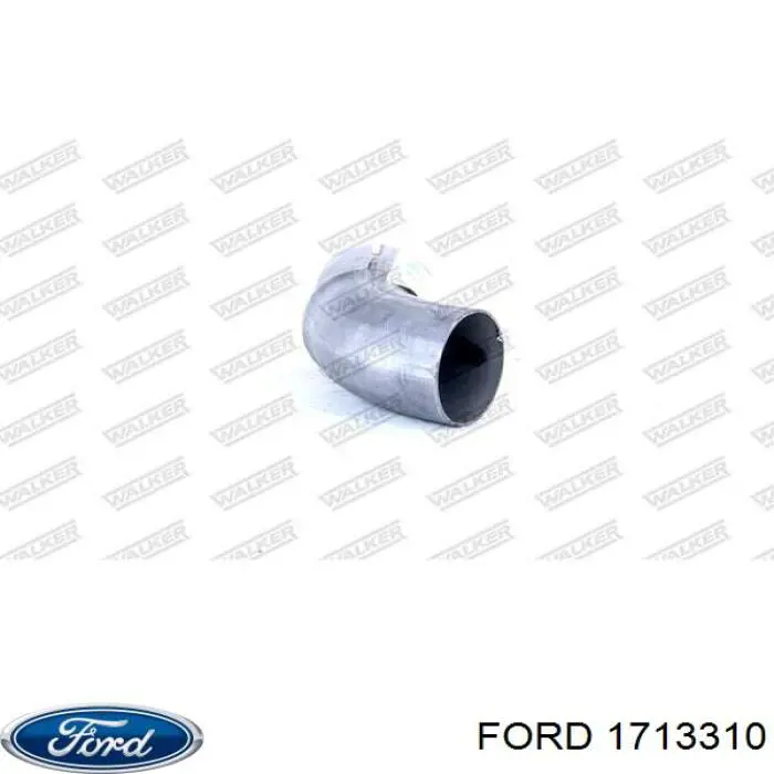 1713310 Ford 