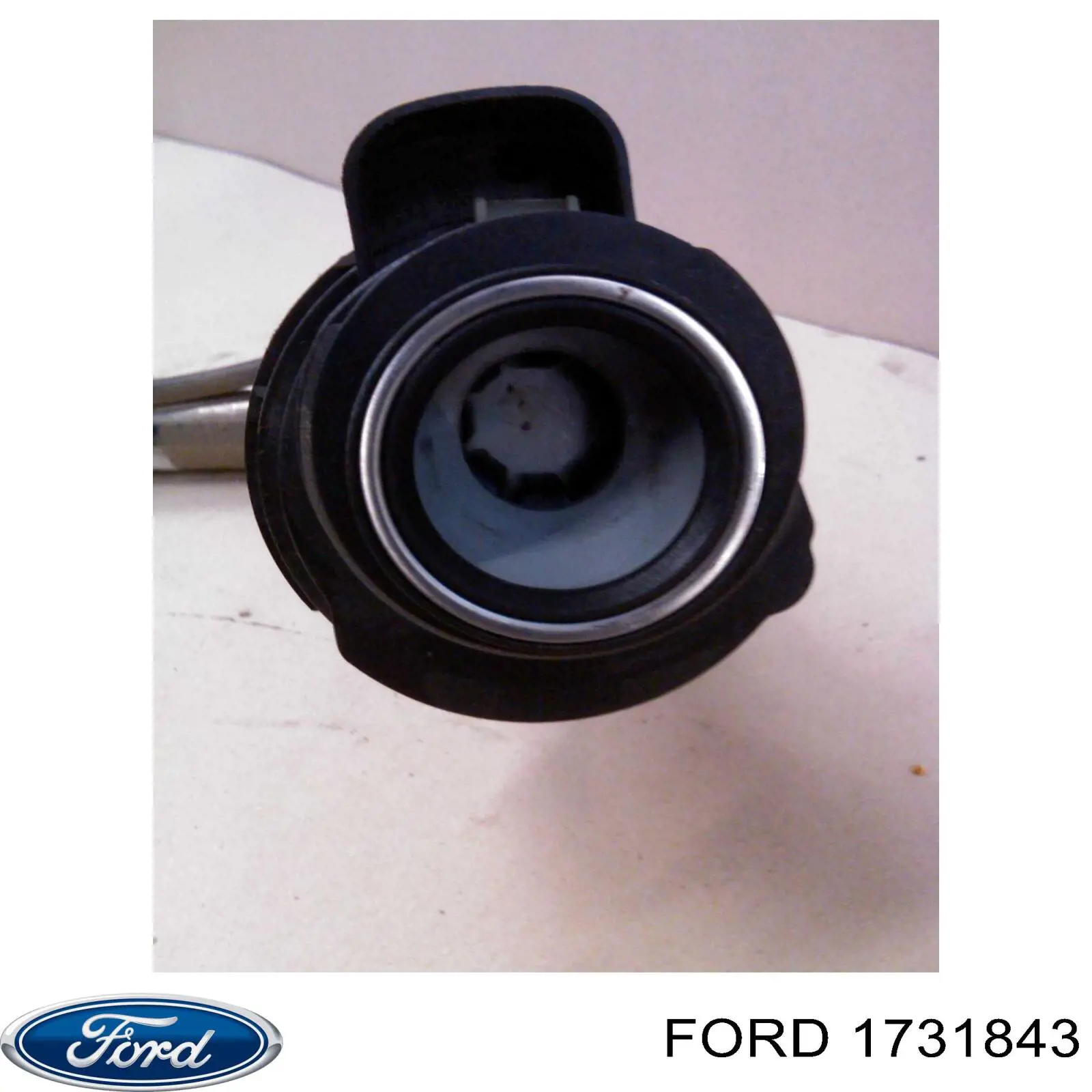 1731843 Ford 