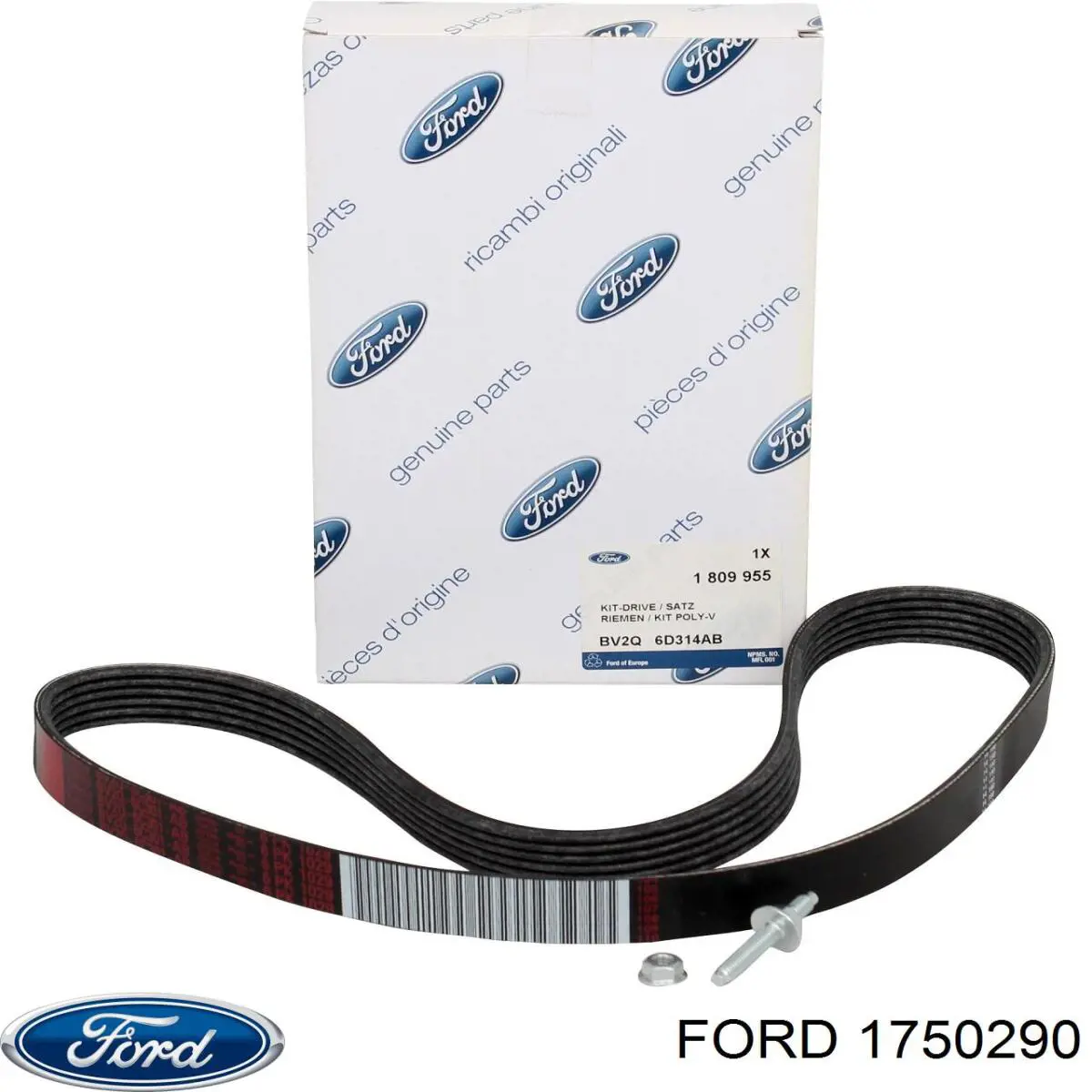 1750290 Ford correa trapezoidal