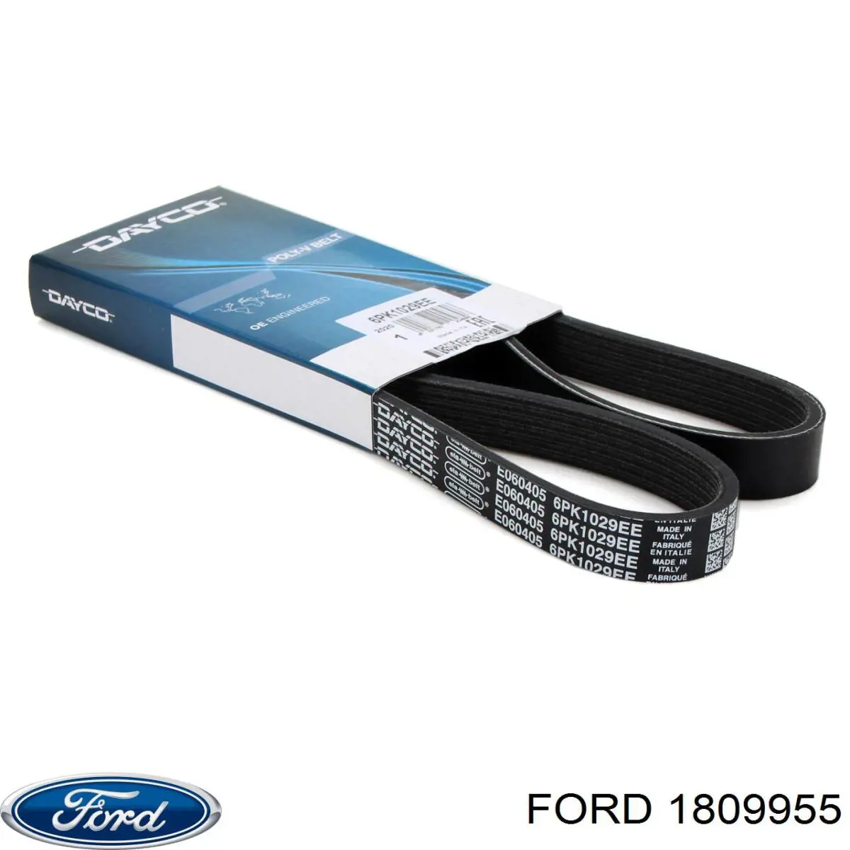 1809955 Ford correa trapezoidal