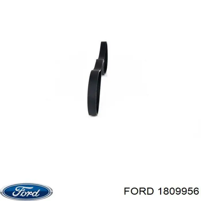 1809956 Ford correa trapezoidal