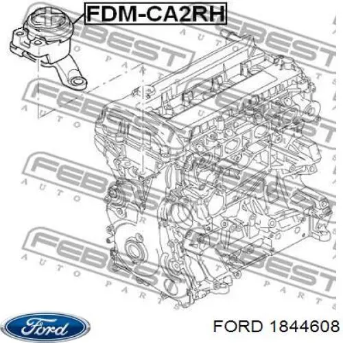 1844608 Ford soporte de motor derecho