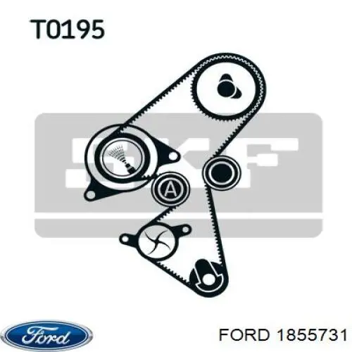 1855731 Ford kit correa de distribución