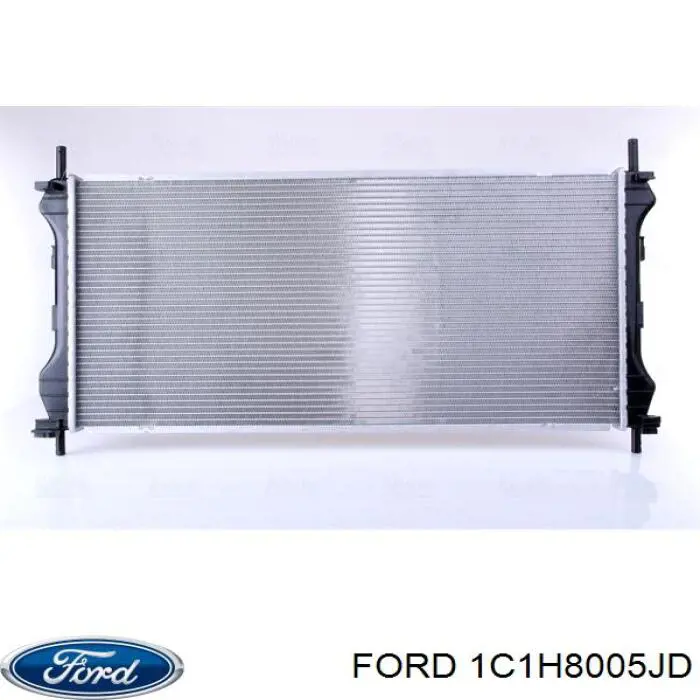 1C1H8005JD Ford 