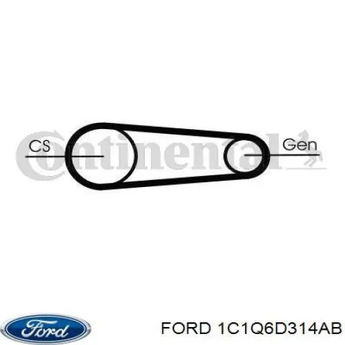 1C1Q6D314AB Ford correa trapezoidal