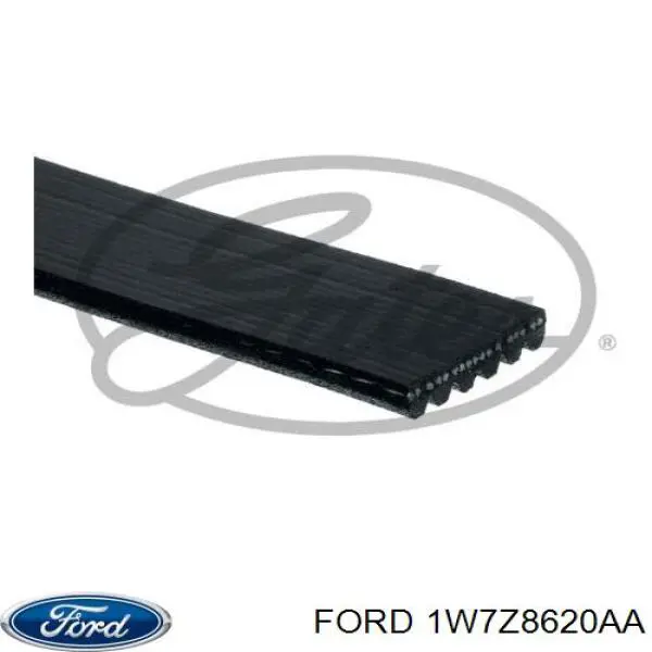 1W7Z-8620-AA Ford correa trapezoidal