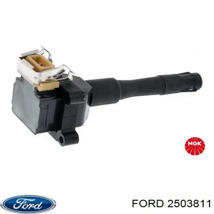 2503811 Ford tapa de tubo de llenado de aceite