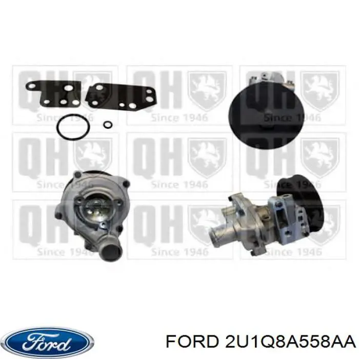 2U1Q8A558AA Ford bomba de agua