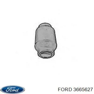 3665627 Ford silentblock de brazo de suspensión delantero superior