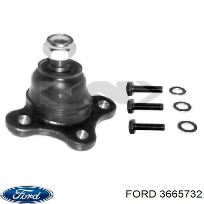 3665732 Ford rótula de suspensión superior