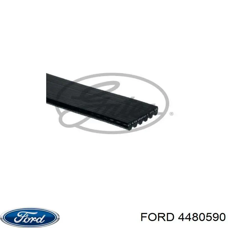 4480590 Ford correa trapezoidal