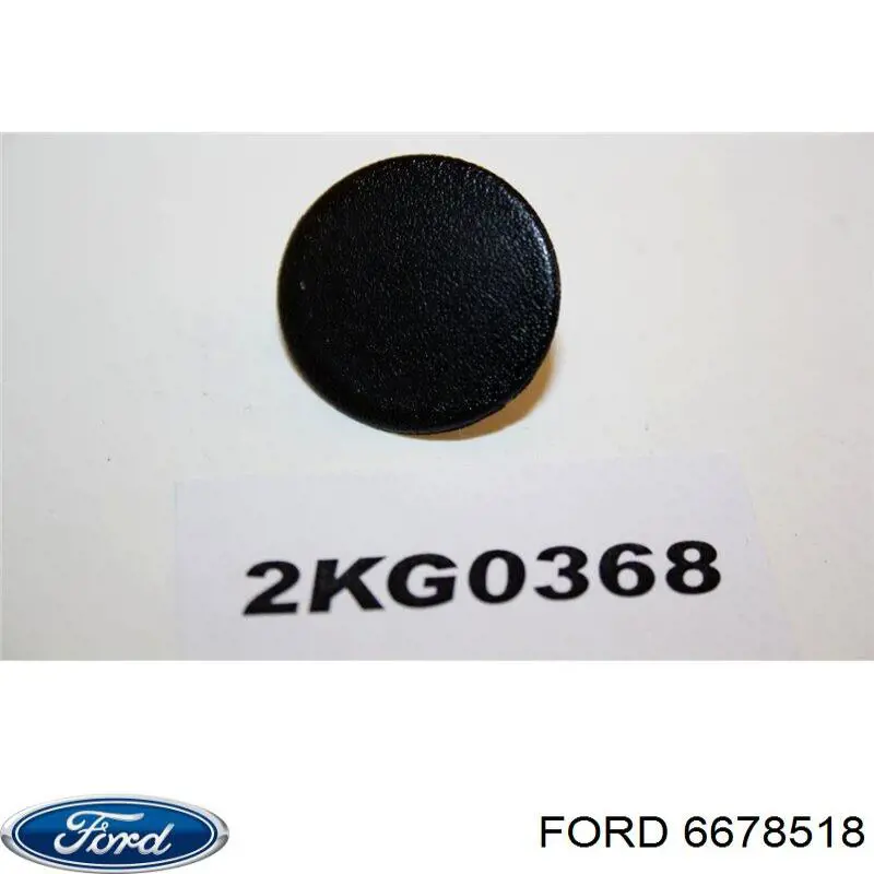 1079129 Ford piston (clip De Una Campana Calefactora)