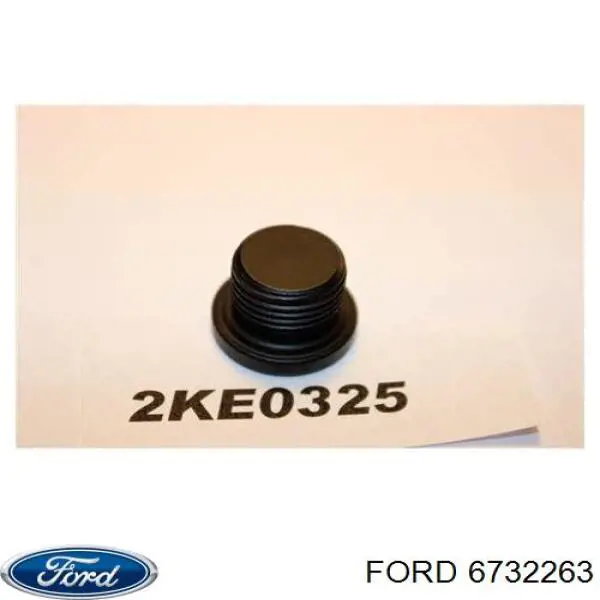 6732263 Ford 