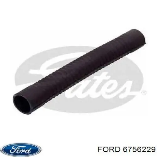 6756229 Ford tapa de termostato