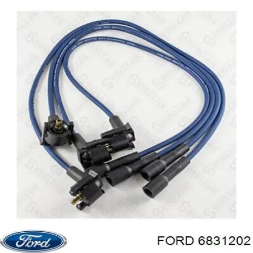 6609876 Ford 