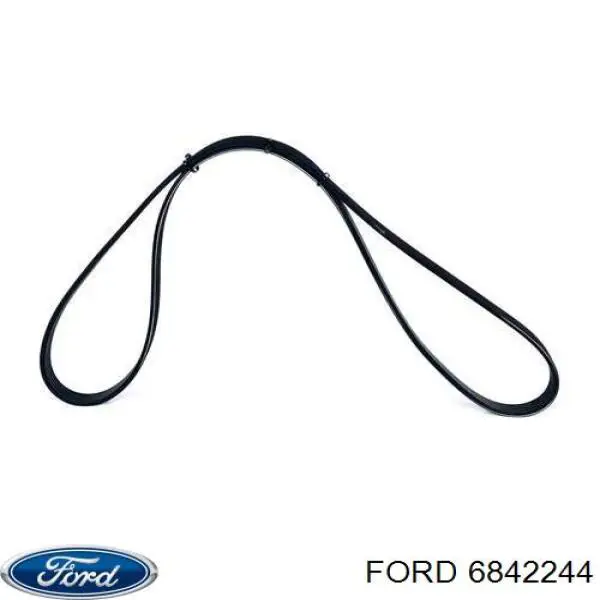 6842244 Ford correa trapezoidal