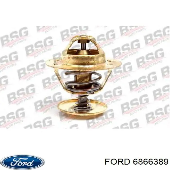 6866389 Ford termostato, refrigerante