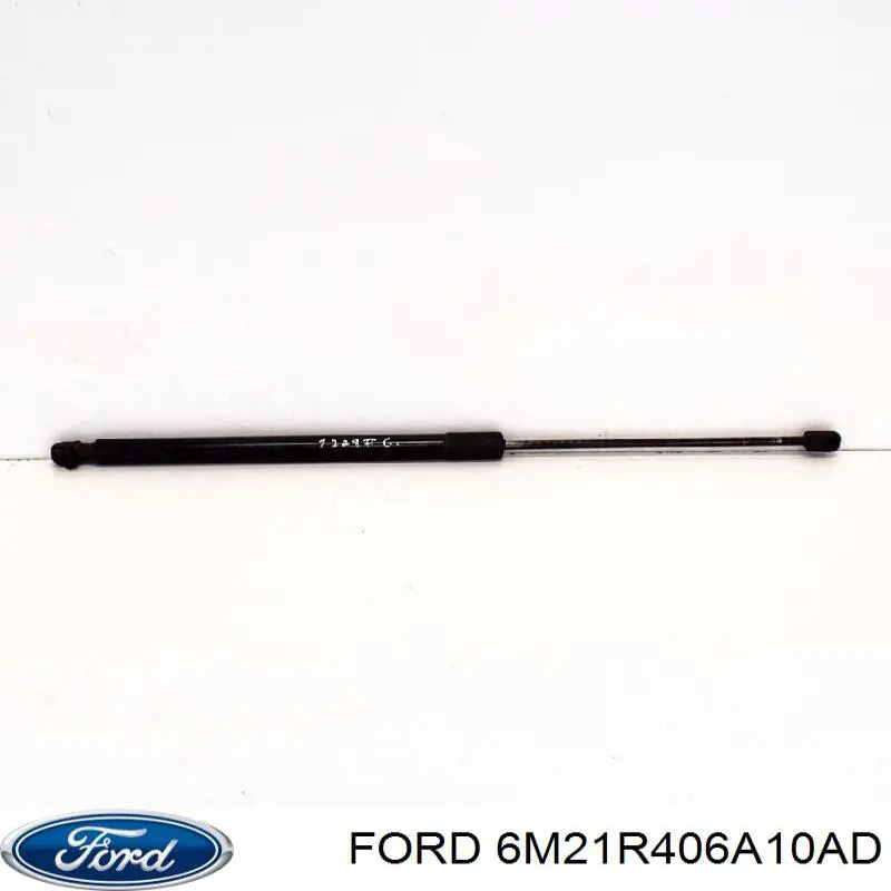 6M21R406A10AD Ford amortiguador de maletero