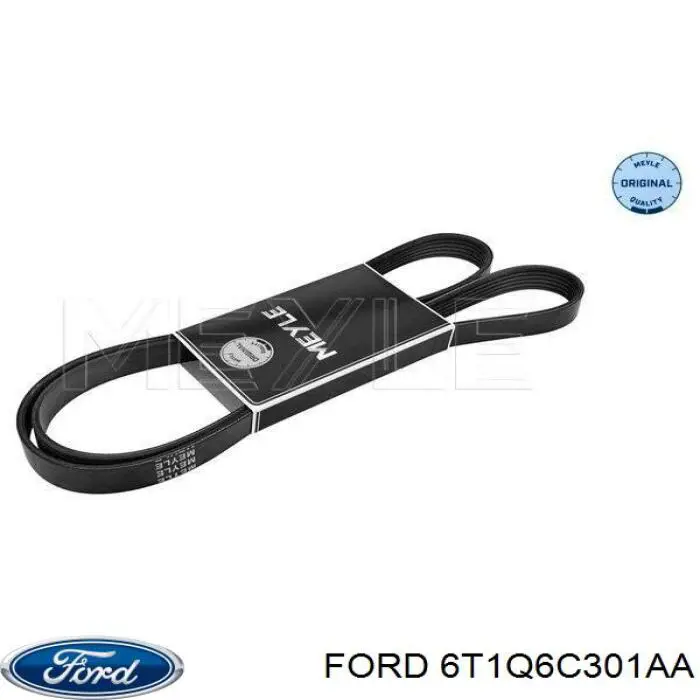 6T1Q6C301AA Ford correa trapezoidal