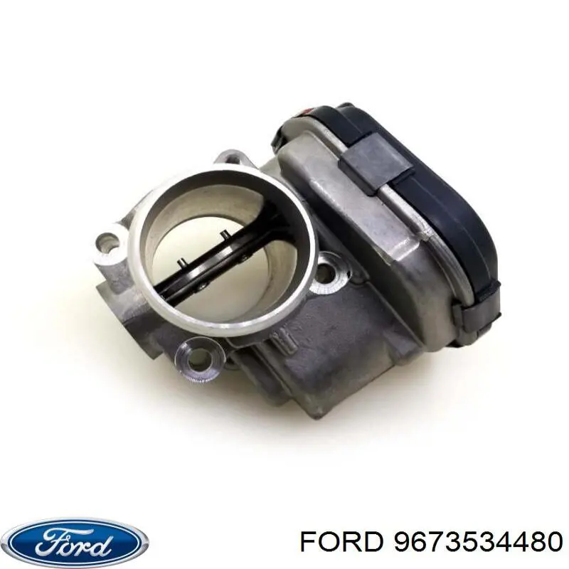 9673534480 Ford cuerpo de mariposa completo