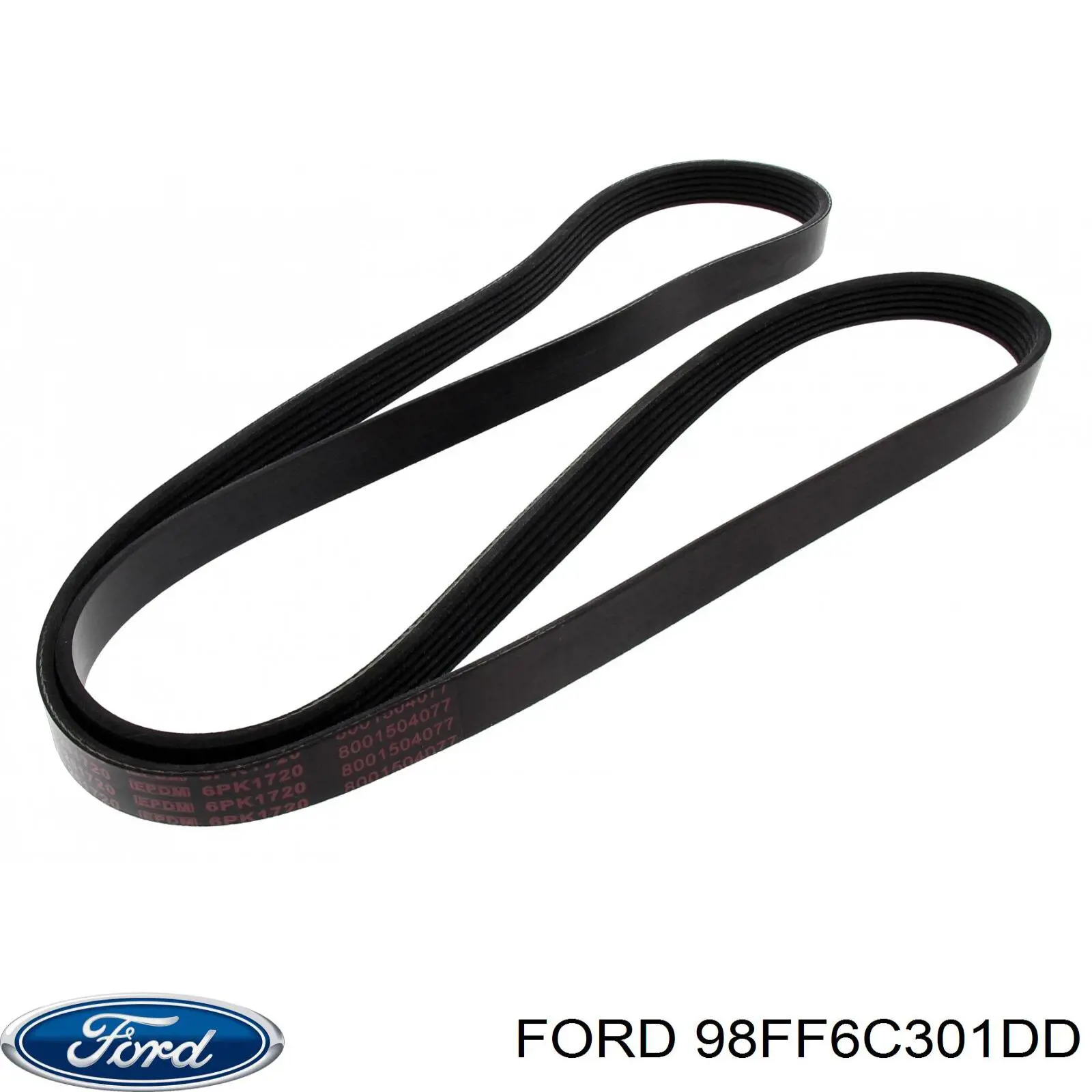 98FF6C301DD Ford correa trapezoidal