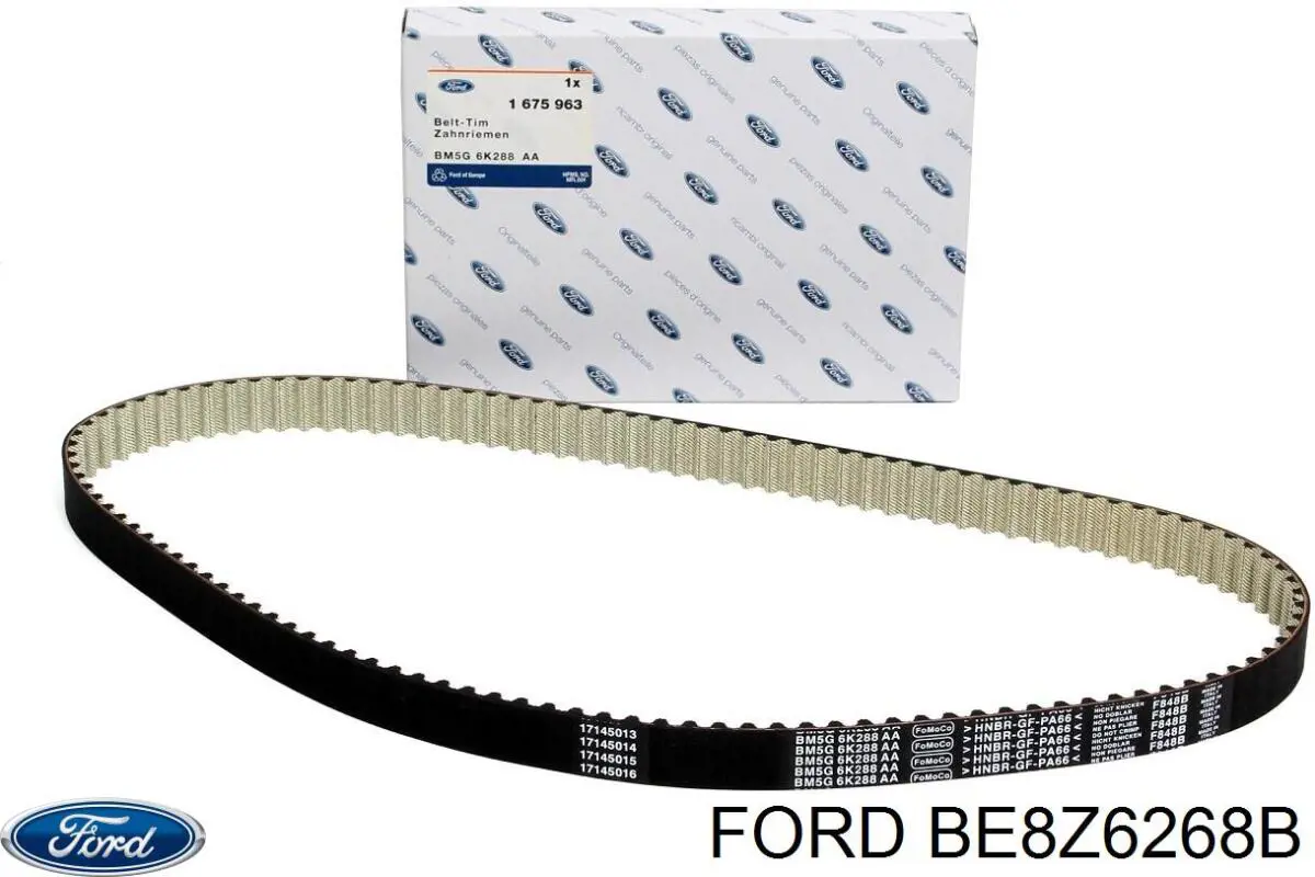 BE8Z6268B Ford correa distribucion